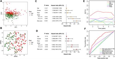 Ferroptosis-related lncRNAs signature to predict the survival and immune evasion for lung squamous cell carcinoma